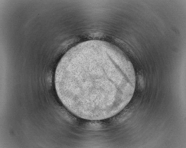 X0000111600668200908131404