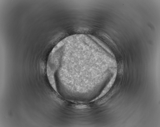X0000111600669200908131404
