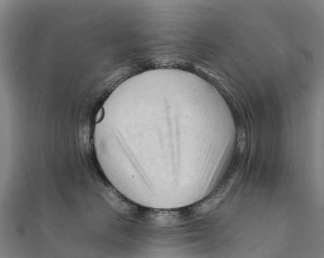 X0000111600670200908131404