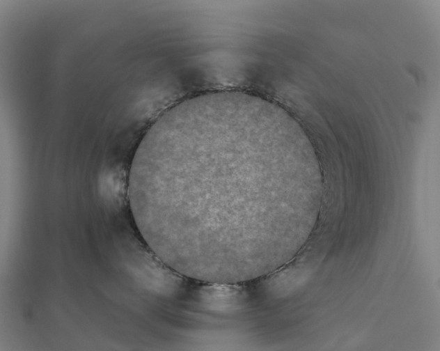 X0000111600672200908131404