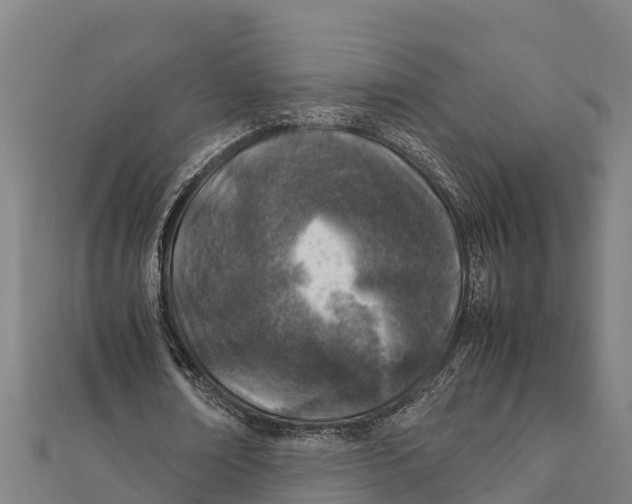 X0000111600674200908131404
