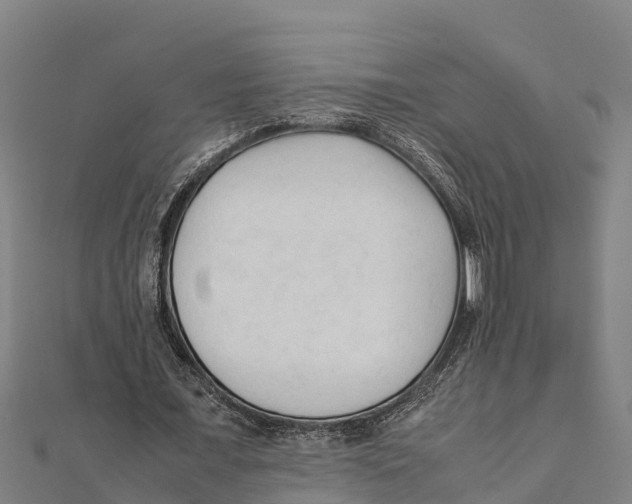 X0000111600675200908131404
