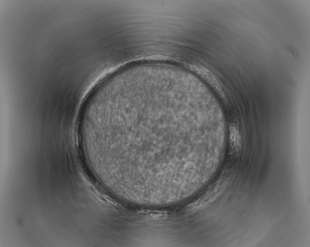 X0000111600676200908131404