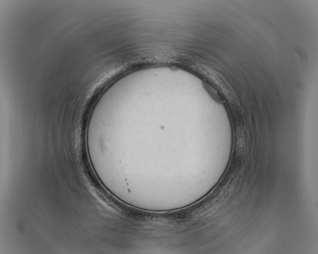 X0000111600677200908131404