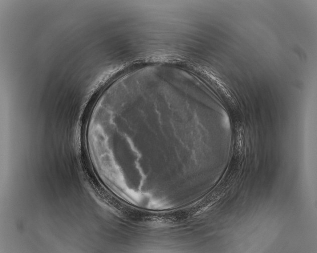 X0000111600678200908131404