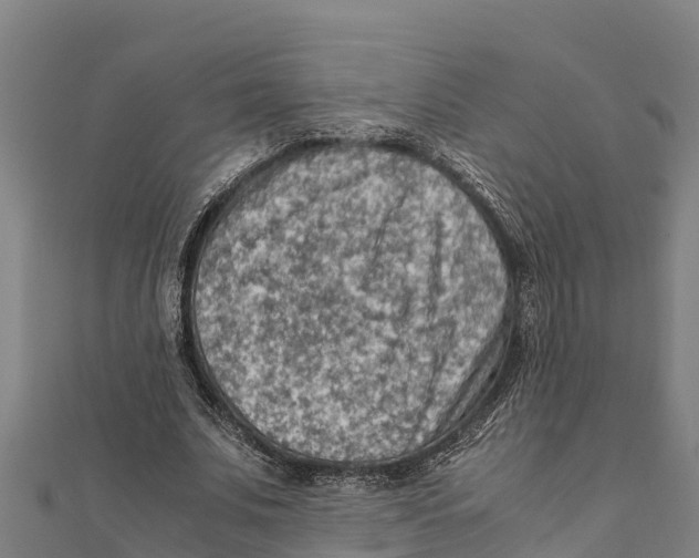 X0000111600679200908131404