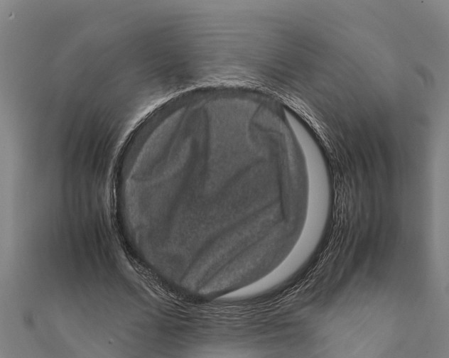 X0000111600680200908131404