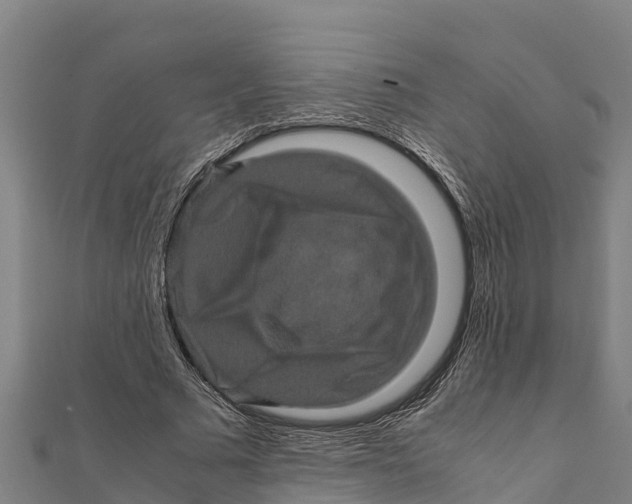 X0000111600681200908131404