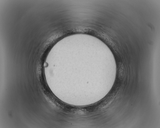 X0000111600683200908131404