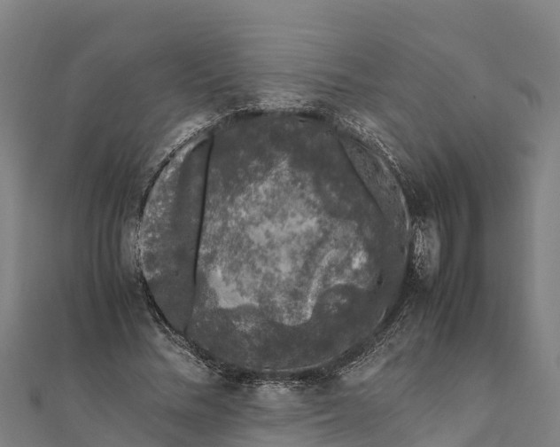 X0000111600684200908131404