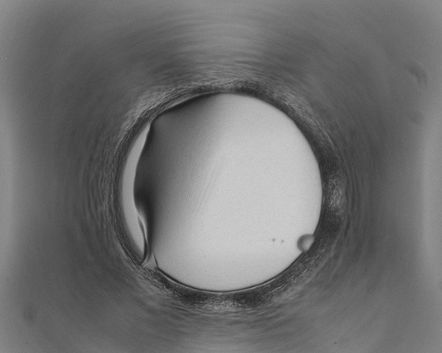 X0000111600685200908131404