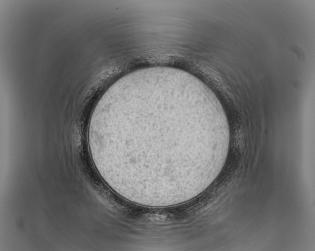 X0000111600687200908131403
