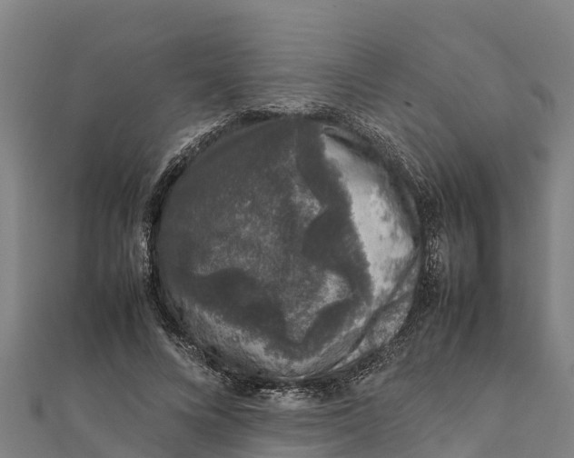 X0000111600688200908131403