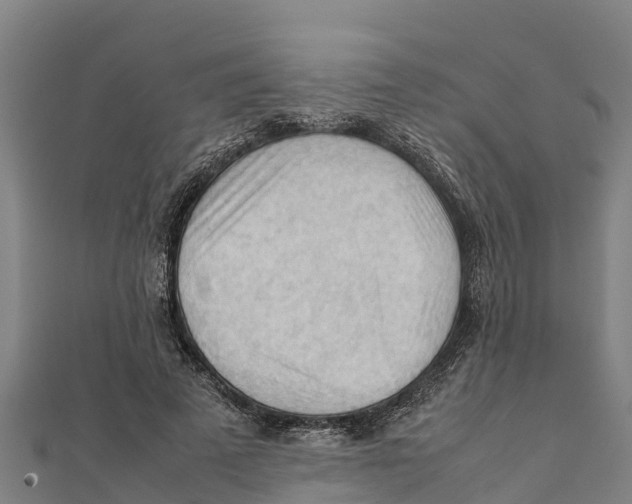 X0000111600689200908131403