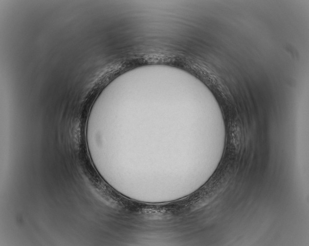 X0000111600690200908131403