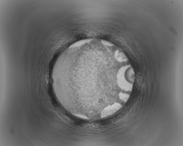 X0000111600691200908131403