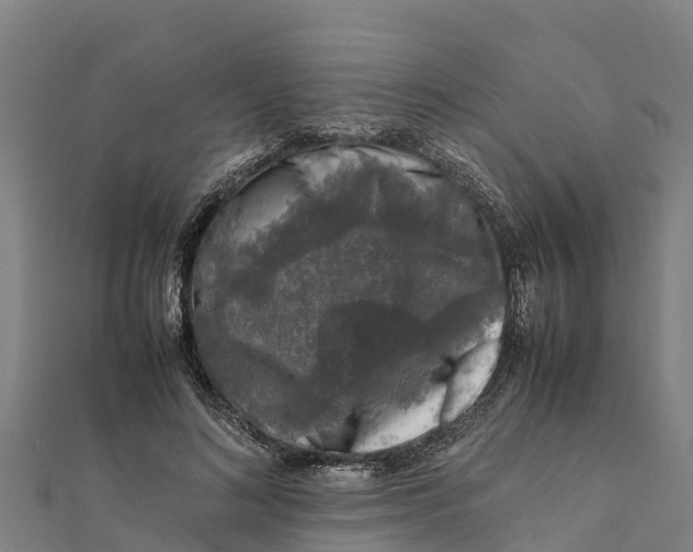 X0000111600692200908131403