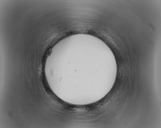 X0000111600693200908131403