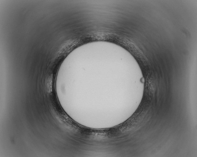 X0000111600694200908131403