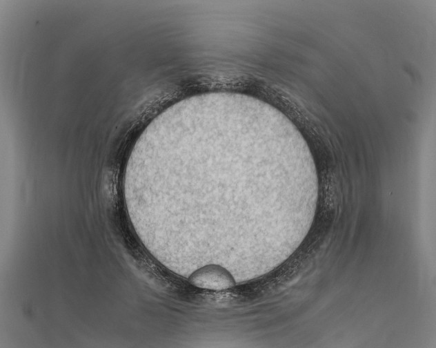 X0000111600695200908131403