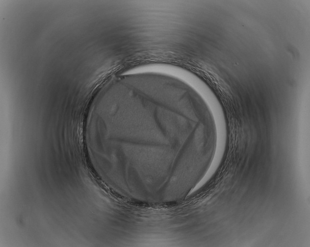 X0000111600696200908131403