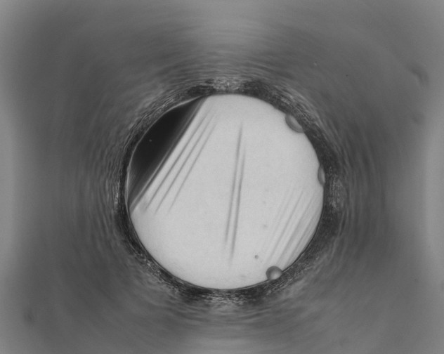X0000111600697200908131403