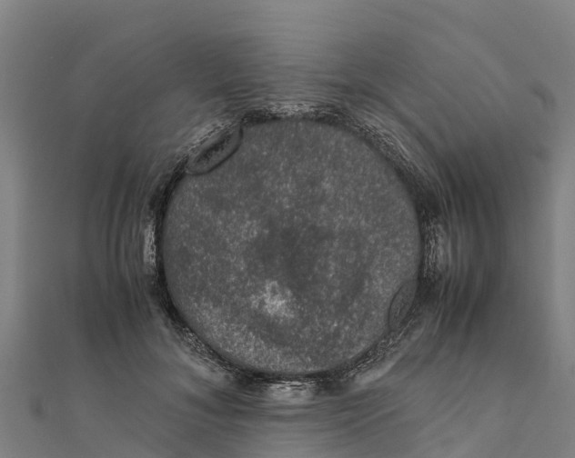 X0000111600700200908131403