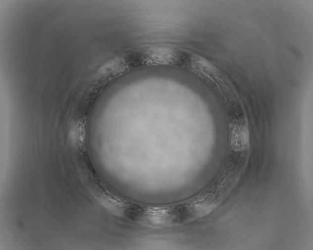 X0000111600701200908131403