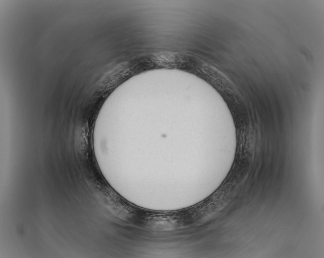 X0000111600702200908131403