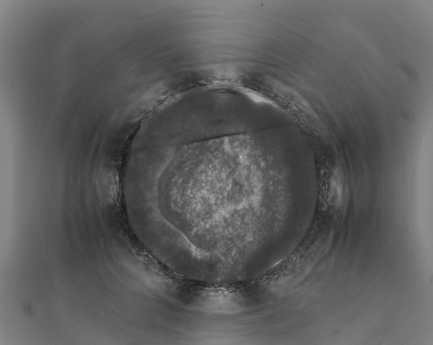 X0000111600704200908131403