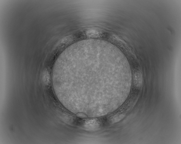X0000111600705200908131403