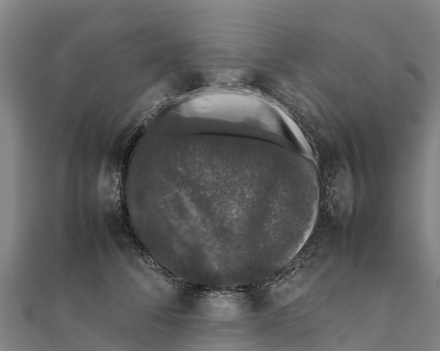 X0000111600708200908131403