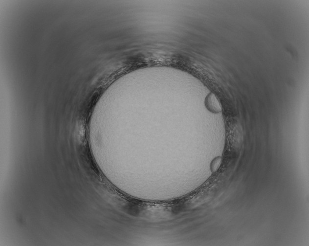 X0000111600709200908131403