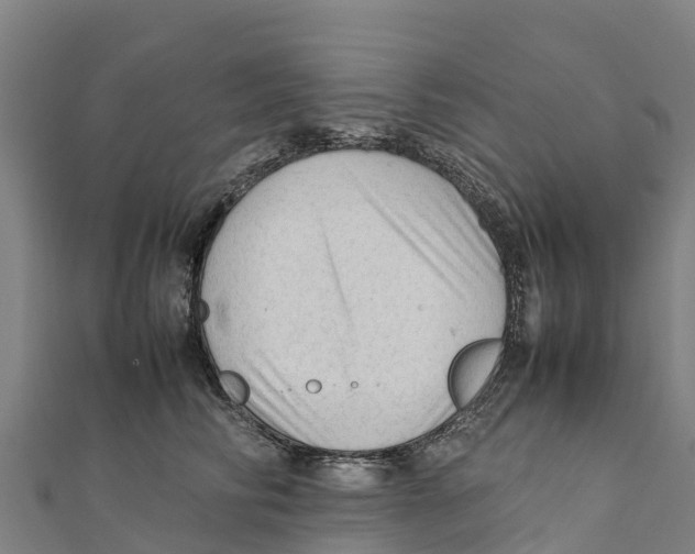 X0000111600710200908131403
