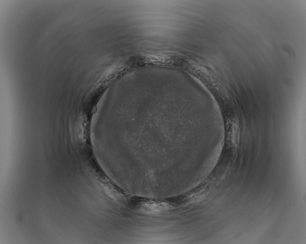 X0000111600712200908131403