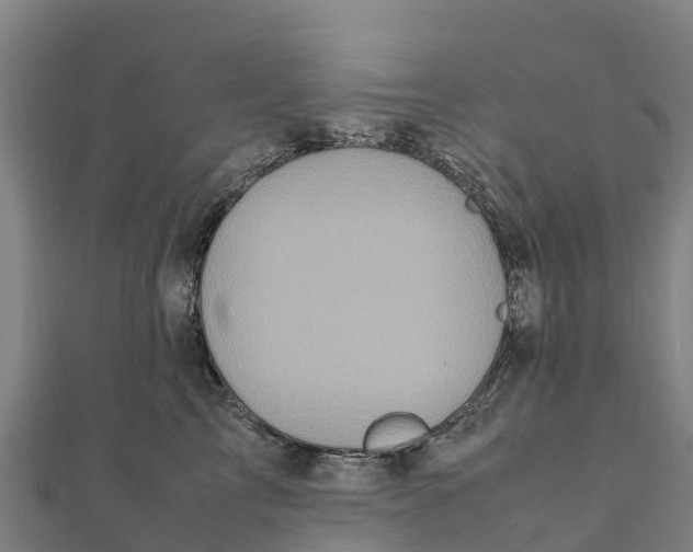 X0000111600713200908131403
