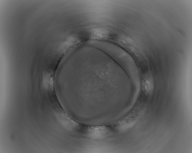 X0000111600716200908131403