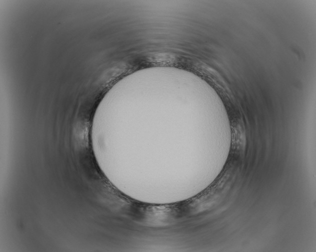 X0000111600717200908131403
