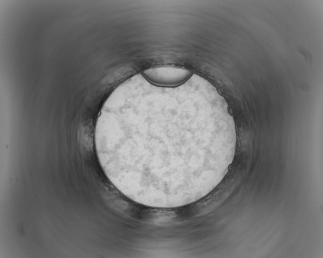 X0000111600719200908131403