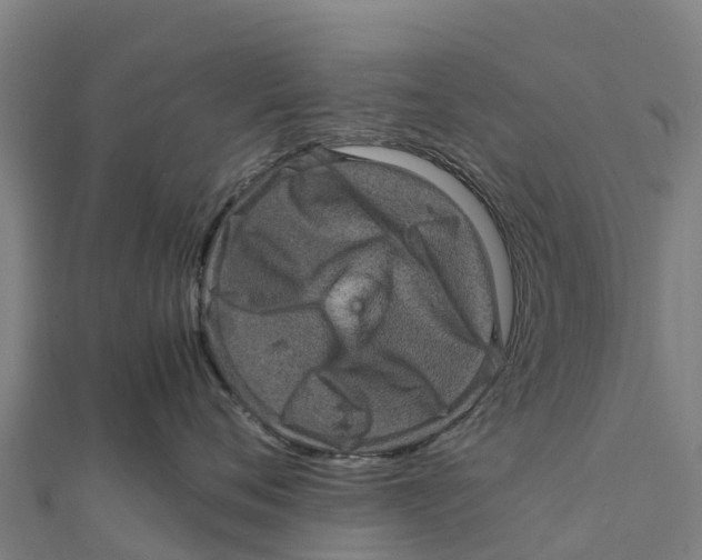X0000111600720200908131403