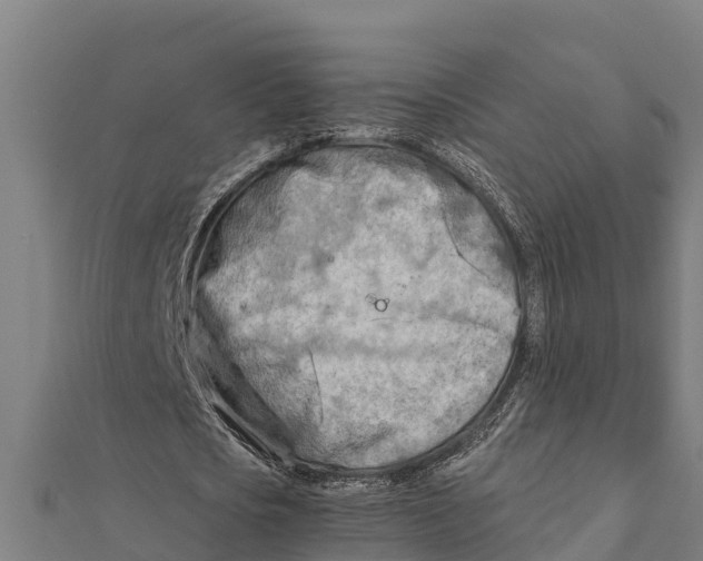 X0000111600721200908131402
