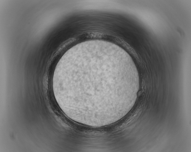 X0000111600722200908131402