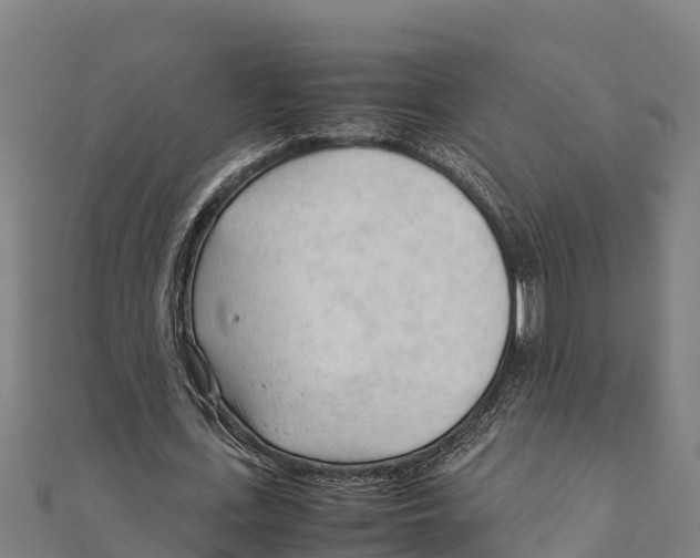 X0000111600723200908131402