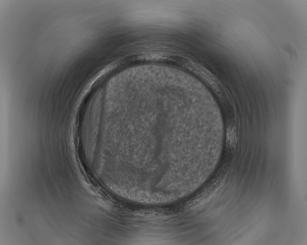 X0000111600724200908131402