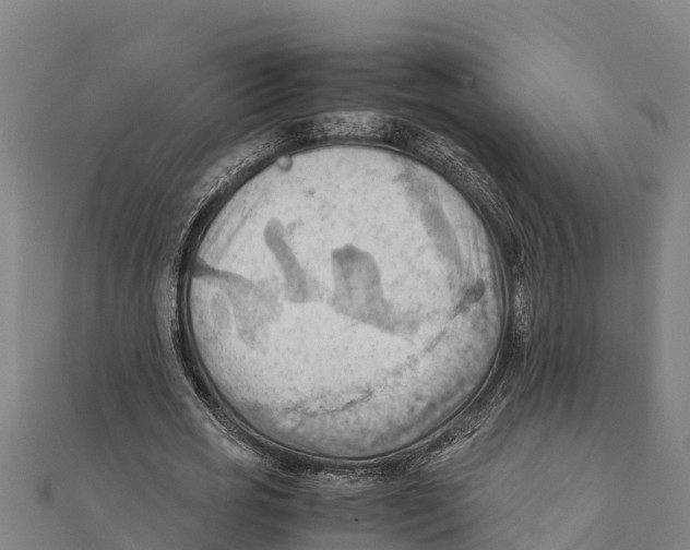 X0000111600725200908131402