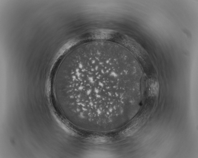 X0000111600726200908131402