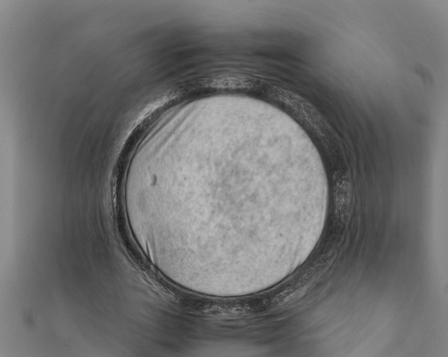 X0000111600727200908131402