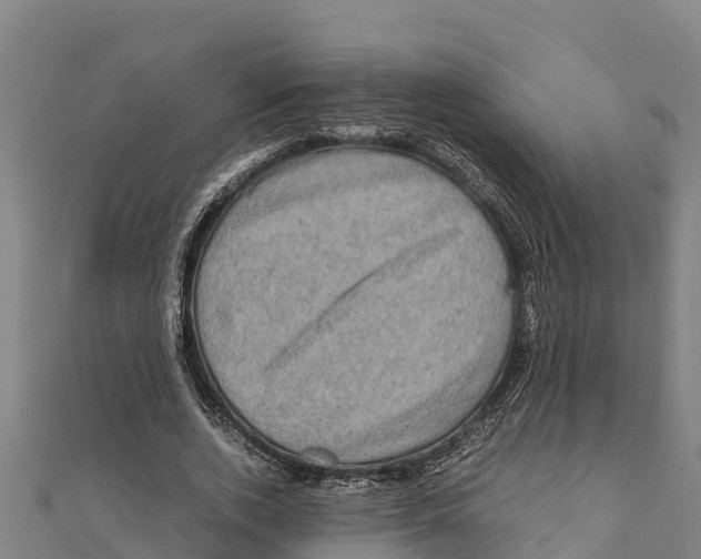 X0000111600728200908131402
