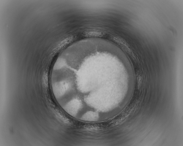 X0000111600729200908131402
