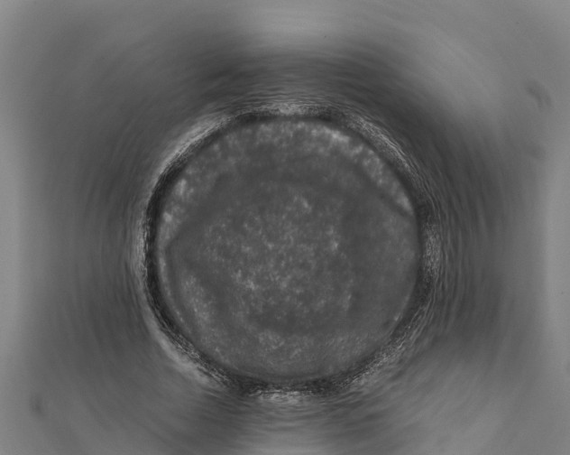 X0000111600730200908131402